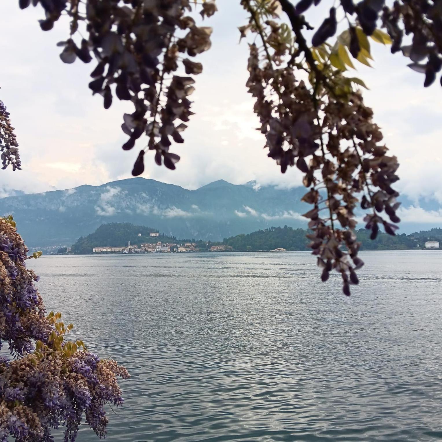 La Casa Al Lago Bmor Love&Lake Mezzegra Dış mekan fotoğraf